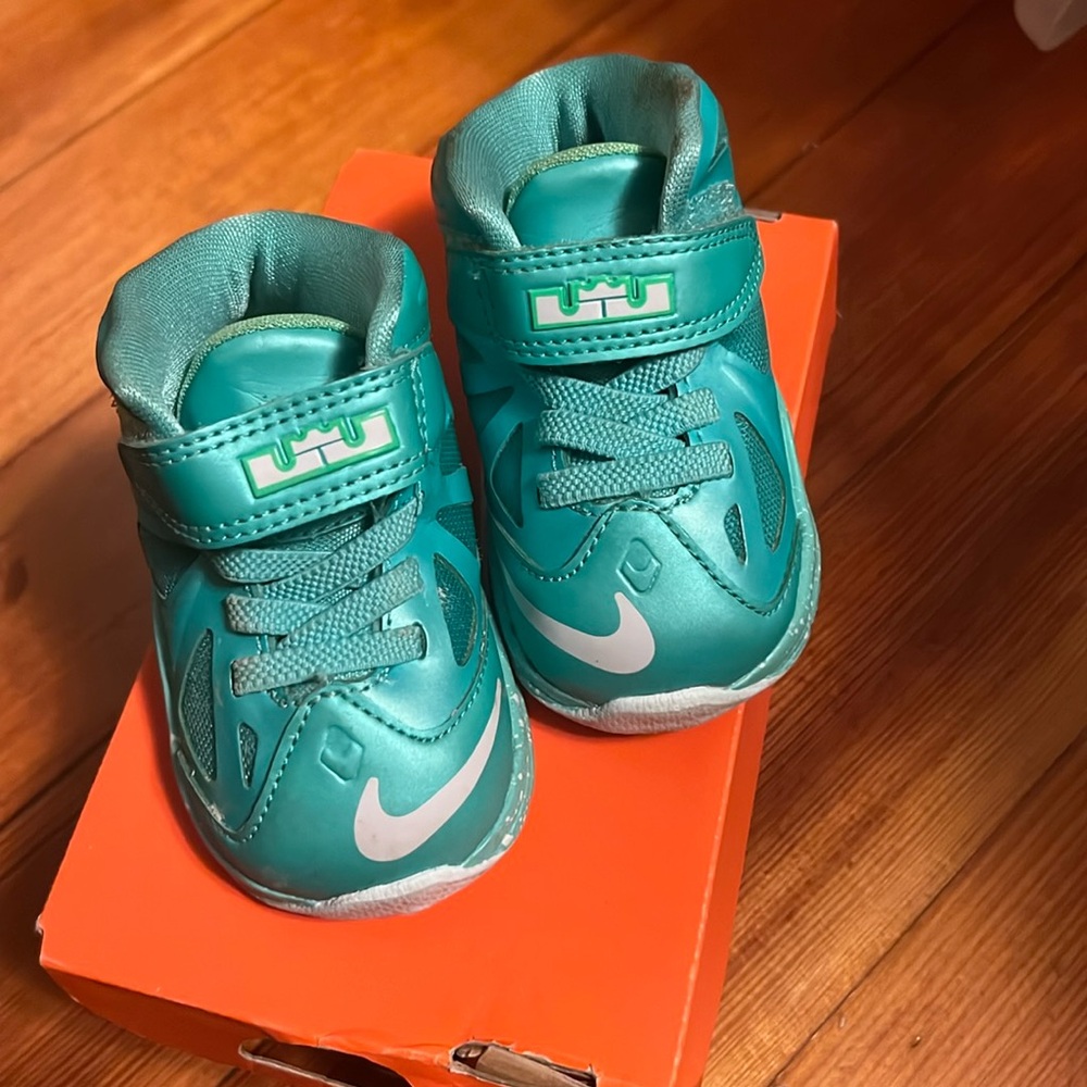 Lebron X (td)